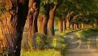 糖心APP破解网址-探索APP应用安全与网络伦理的边界，以糖心APP为例